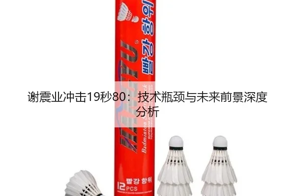 谢震业冲击19秒80：技术瓶颈与未来前景深度分析